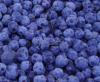 iqf wild blueberry  (sales6 at lgberry dot com dot cn)