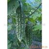 balsam pear extract (sales6 at lgberry dot com dot cn)