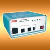 Power Inverter WS-ACP1000B