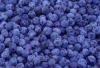 blueberry concentrate(sales9 at lgberry dot com dot cn)