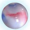 promotional gifts,gym ball,bouncing ball,gymball,massage ball,Jump ball,P-EB-35