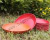 biodegradable tableware, fruit dish